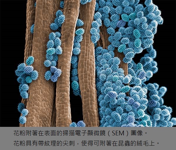 4 , 黏性科學-4