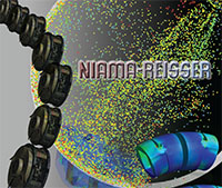 http://techlink.cadmen.com/song/ANSYS_HALL_OF_FAME/2010%20ANSYS%20Hall%20of%20Fame%20Simulation%20Competition%20Winners.files/2010-niamareisser-sm.jpg